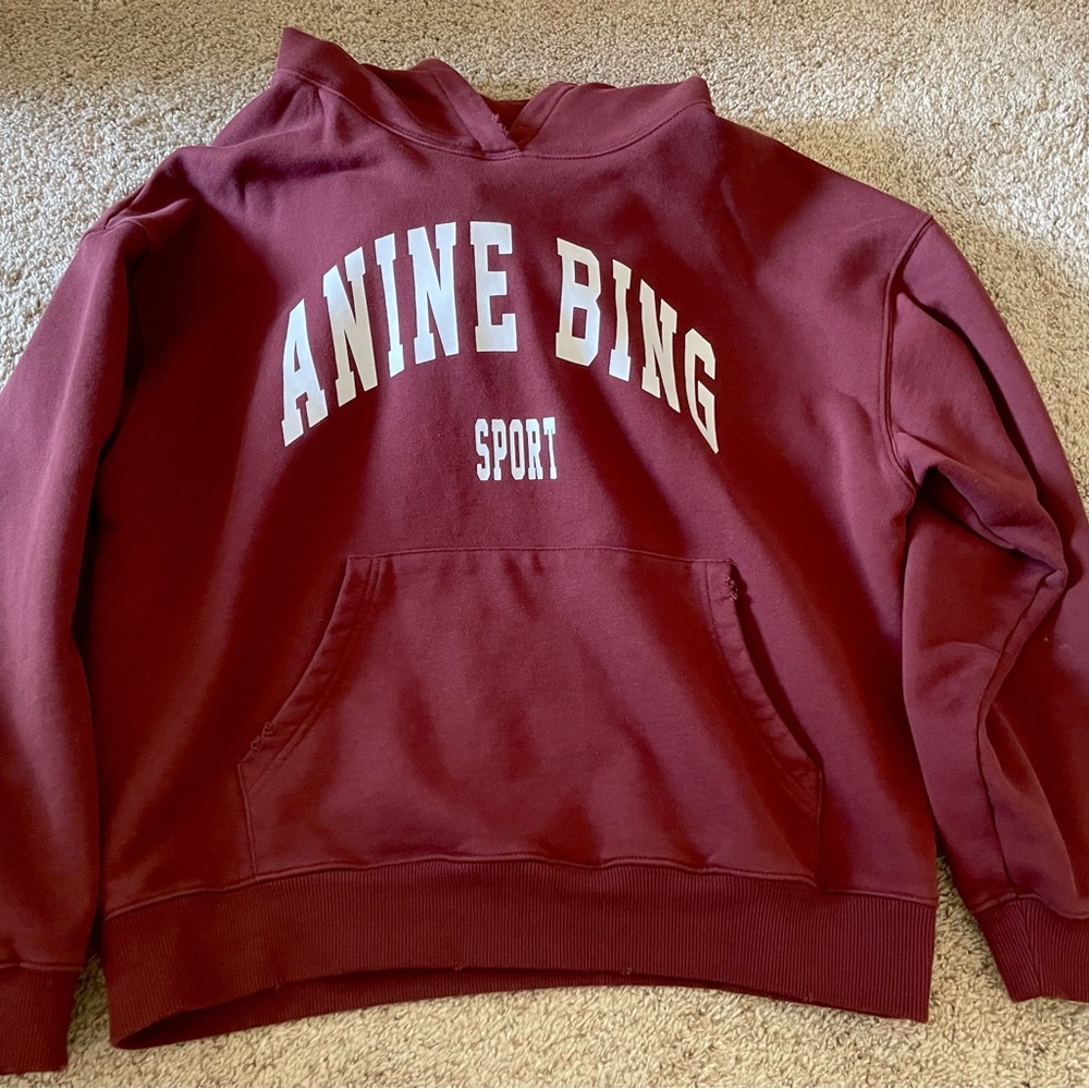 Anine Bing Rust Red Logo Hoodie - Picture 3 of 8